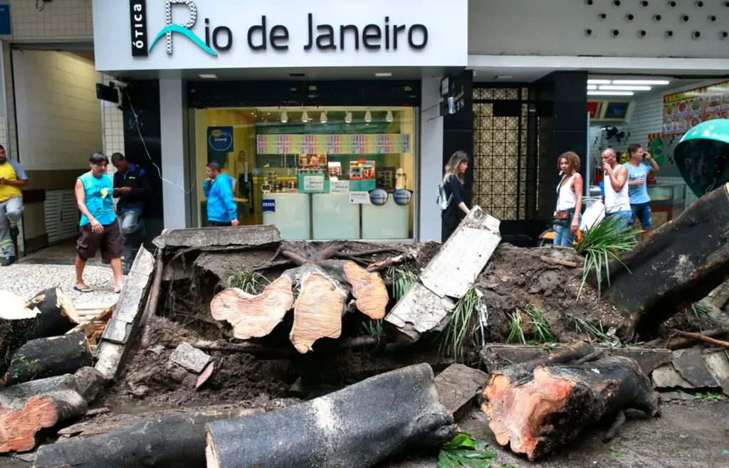senado-aprova-descriminalizacao-de-poda-de-arvore-em-caso-de-risco-de-acidente