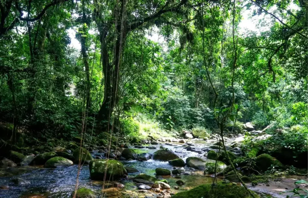 licenciamento-ambiental:-regiao-sudeste-soma-mais-de-24,7-mil-pedidos-em-analise