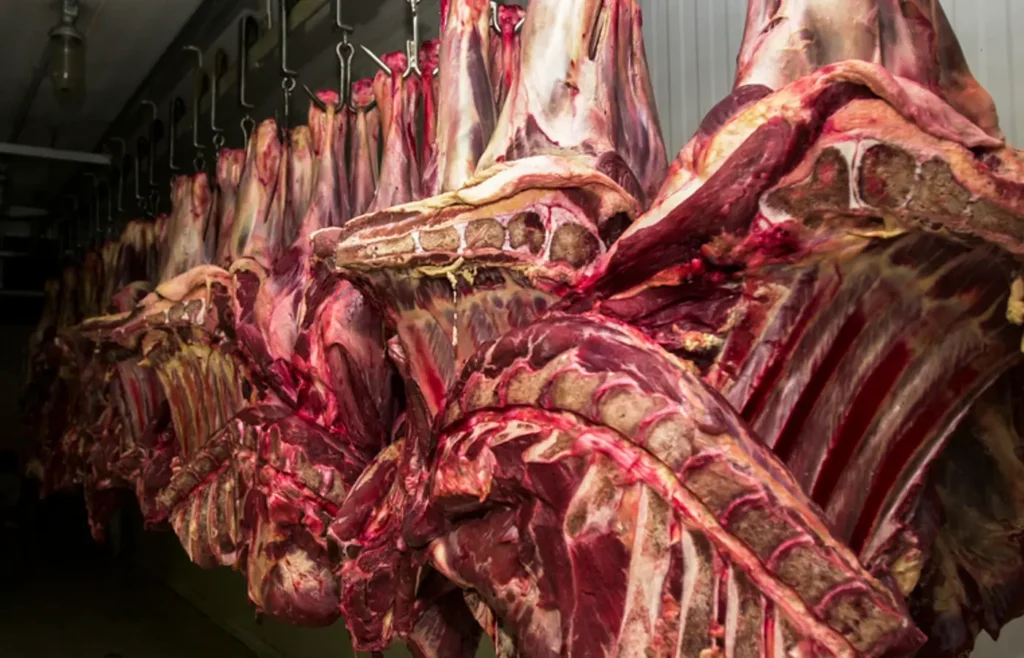 restricao-da-china-a-carne-bovina-pode-causar-impacto-de-us$-3-bilhoes-ao-brasil