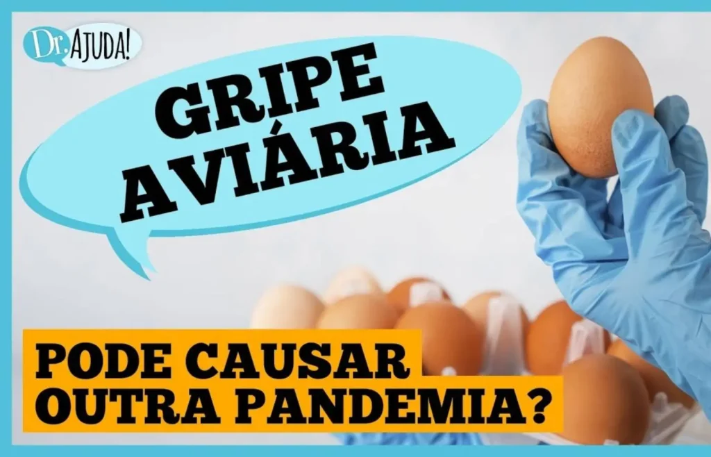 gripe-aviaria:-o-que-e-e-quando-se-preocupar?