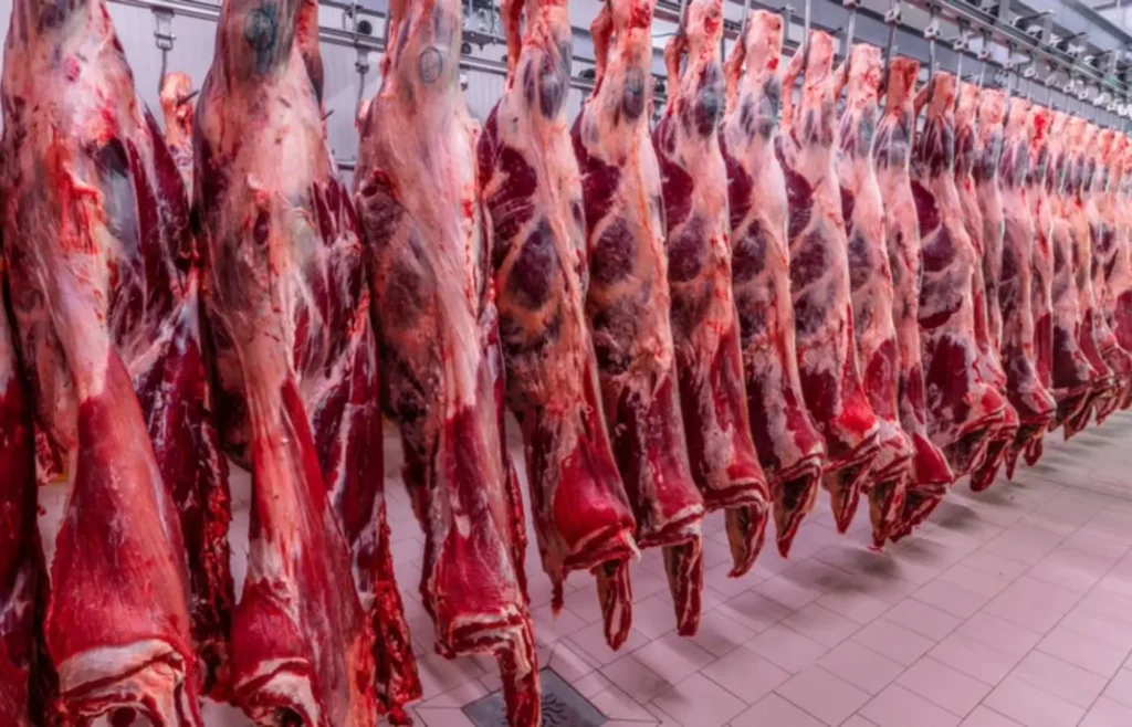 brasil-amplia-exportacao-de-carne-bovina-ao-vietna
