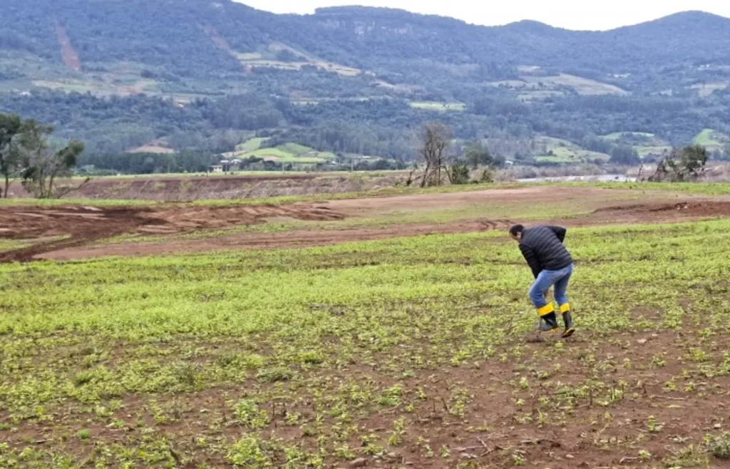 Seguro Rural fecha 2025 com 3,2 milhões de hectares segurados, pior desempenho em 10 anos seguro-rural-fecha-2025-com-3,2-milhoes-de-hectares-segurados,-pior-desempenho-em-10-anos