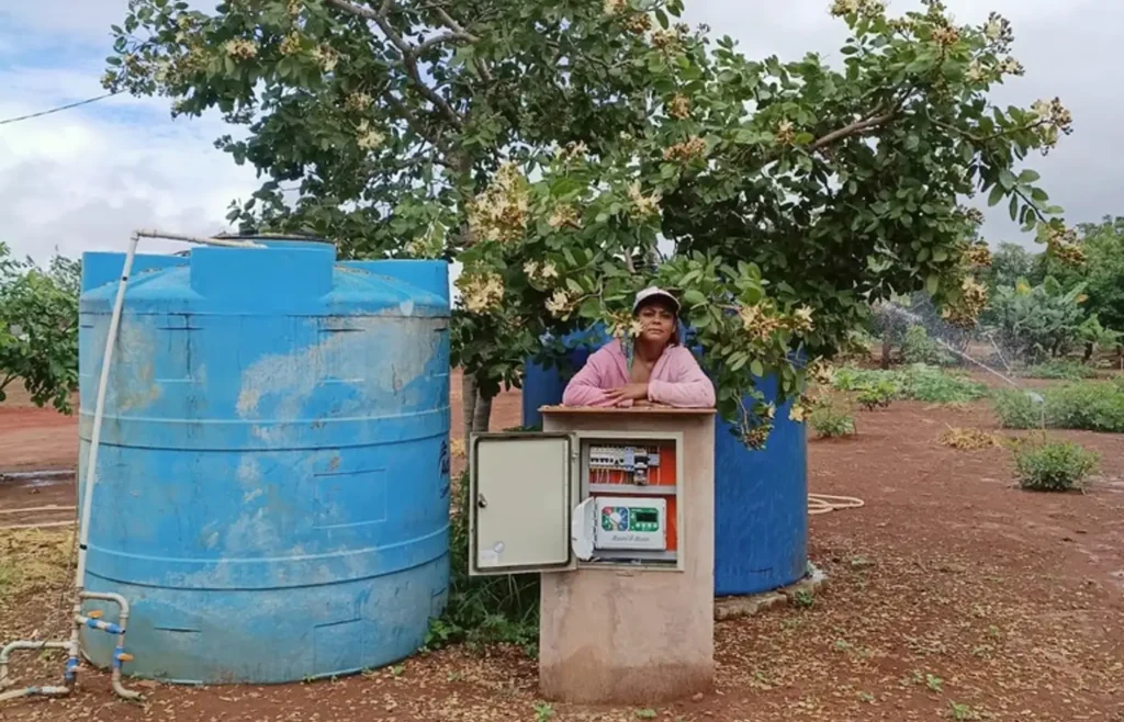microcredito-impulsiona-autonomia-financeira-de-mulheres-no-campo