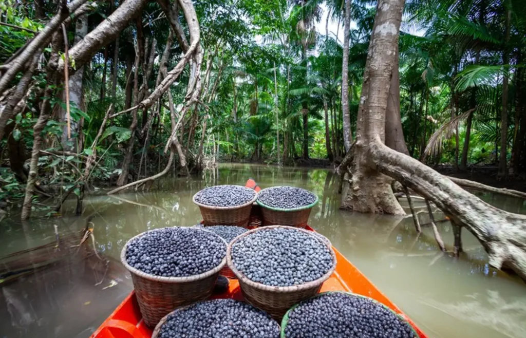 amazonia:-municipios-tem-r$-131,9-milhoes-para-regularizacao-fundiaria-e-assistencia-tecnica