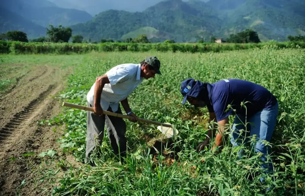 agropecuaria:-emprego-no-setor-cresceu-31,3%-em-2025,-diz-cnm