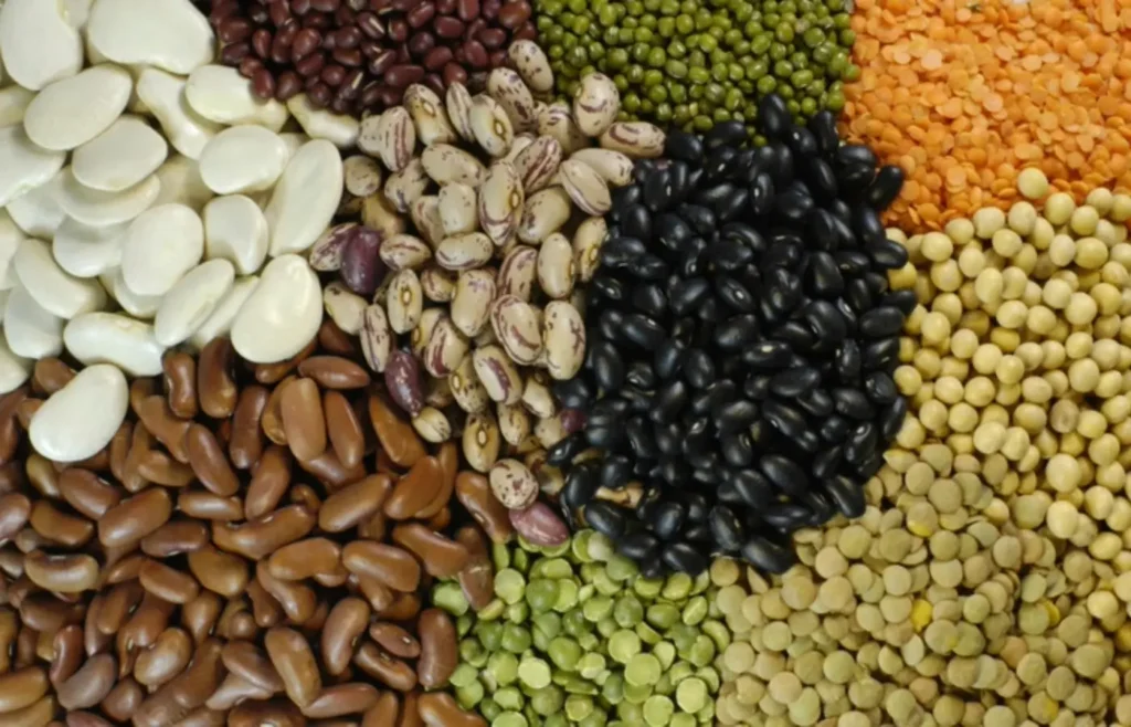 exportacoes-de-pulses-do-brasil-sobem-30%-em-2025,-com-destaque-para-o-feijao