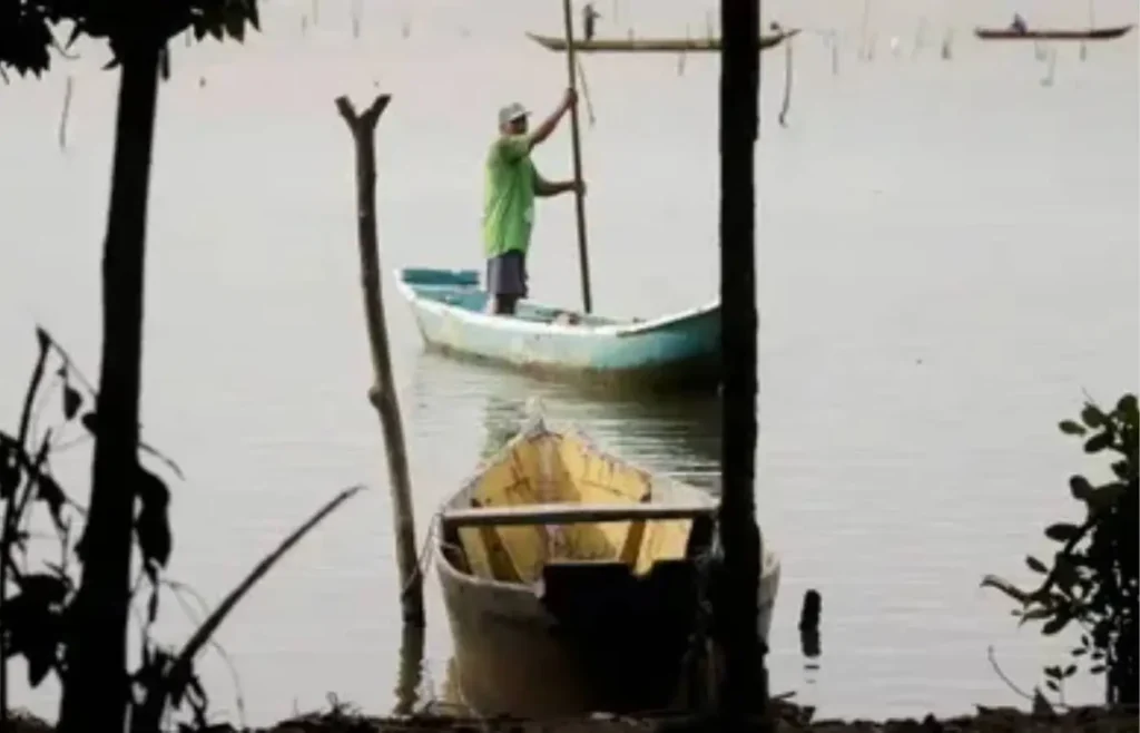 maranhao-e-para-lideram-numero-de-licencas-de-pescadores-canceladas-pelo-mpa