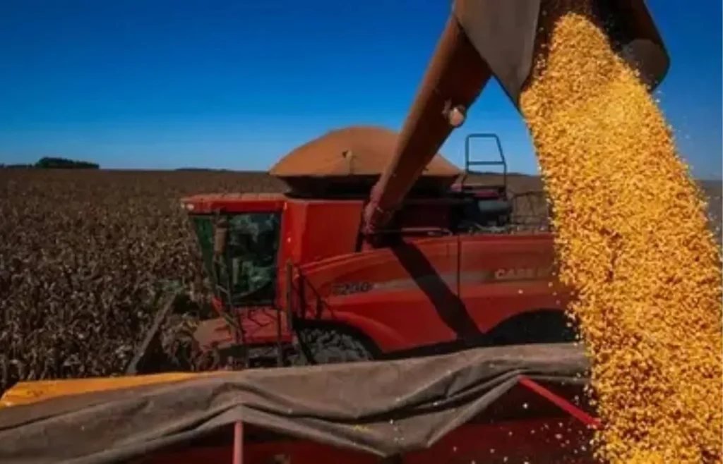 pib-da-agropecuaria-avanca-11,7%-e-contribui-para-fortalecimento-da-economia-em-2025