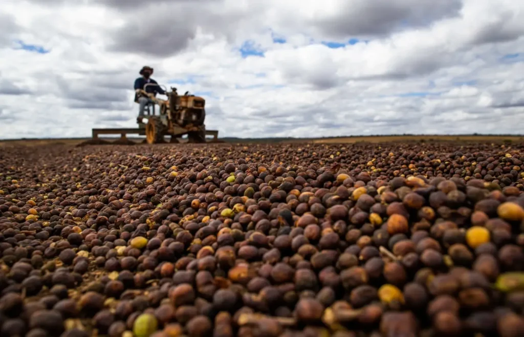 camara-aprova-analise-acelerada-para-novas-regras-do-seguro-rural-no-brasil