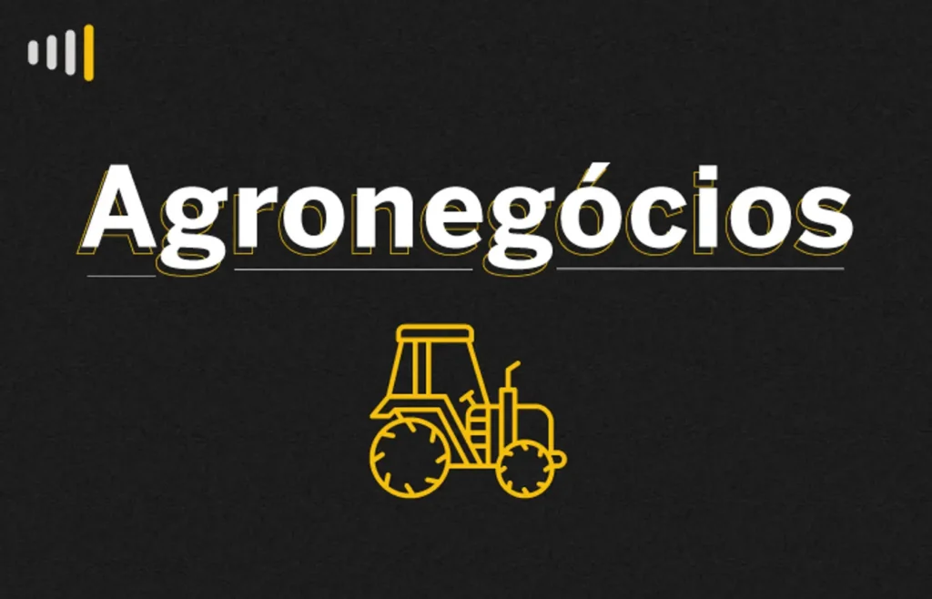 altas-temperaturas-e-chuvas-escassas-e-irregulares-prejudicam-lavouras-em-ms
