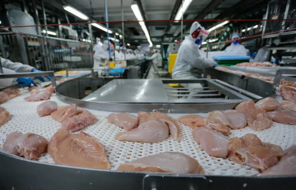 conflito-no-oriente-medio-deve-encarecer-carnes-de-frango,-suina-e-ovos