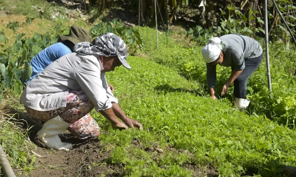 projeto-preve-comprovacao-da-propriedade-e-cnpj-ativo-para-acesso-a-programas-governamentais