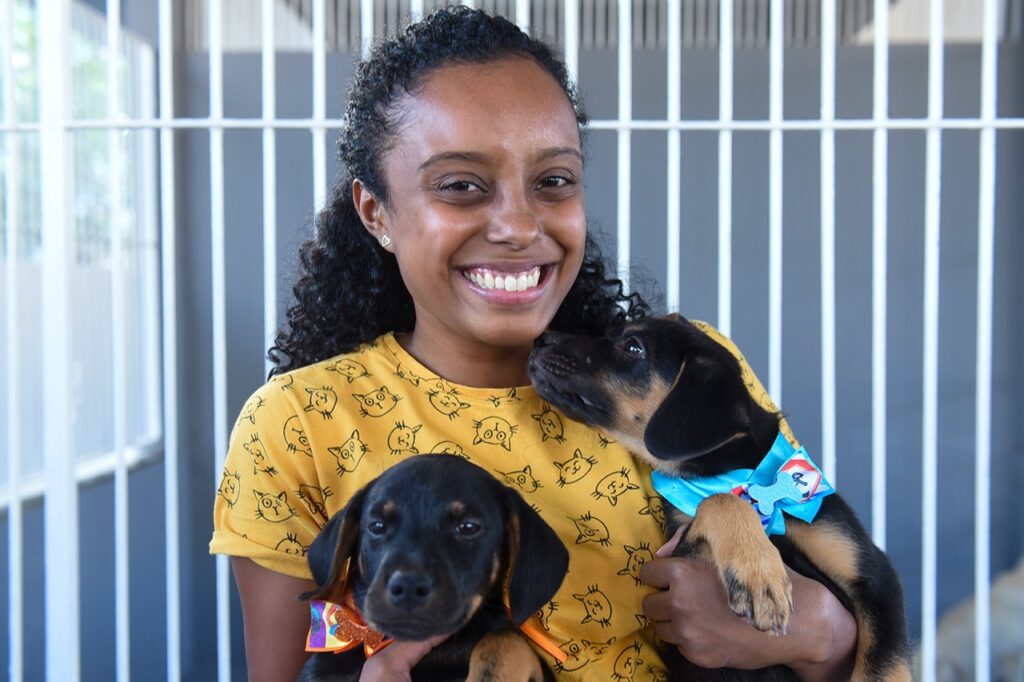 canil-do-ccz-tem-quase-40-animais-disponiveis-para-adocao-em-campos