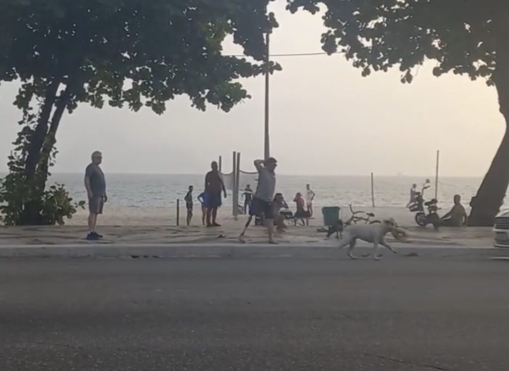cadela-solta-ataca-e-mata-cachorro-na-praia-em-niteroi